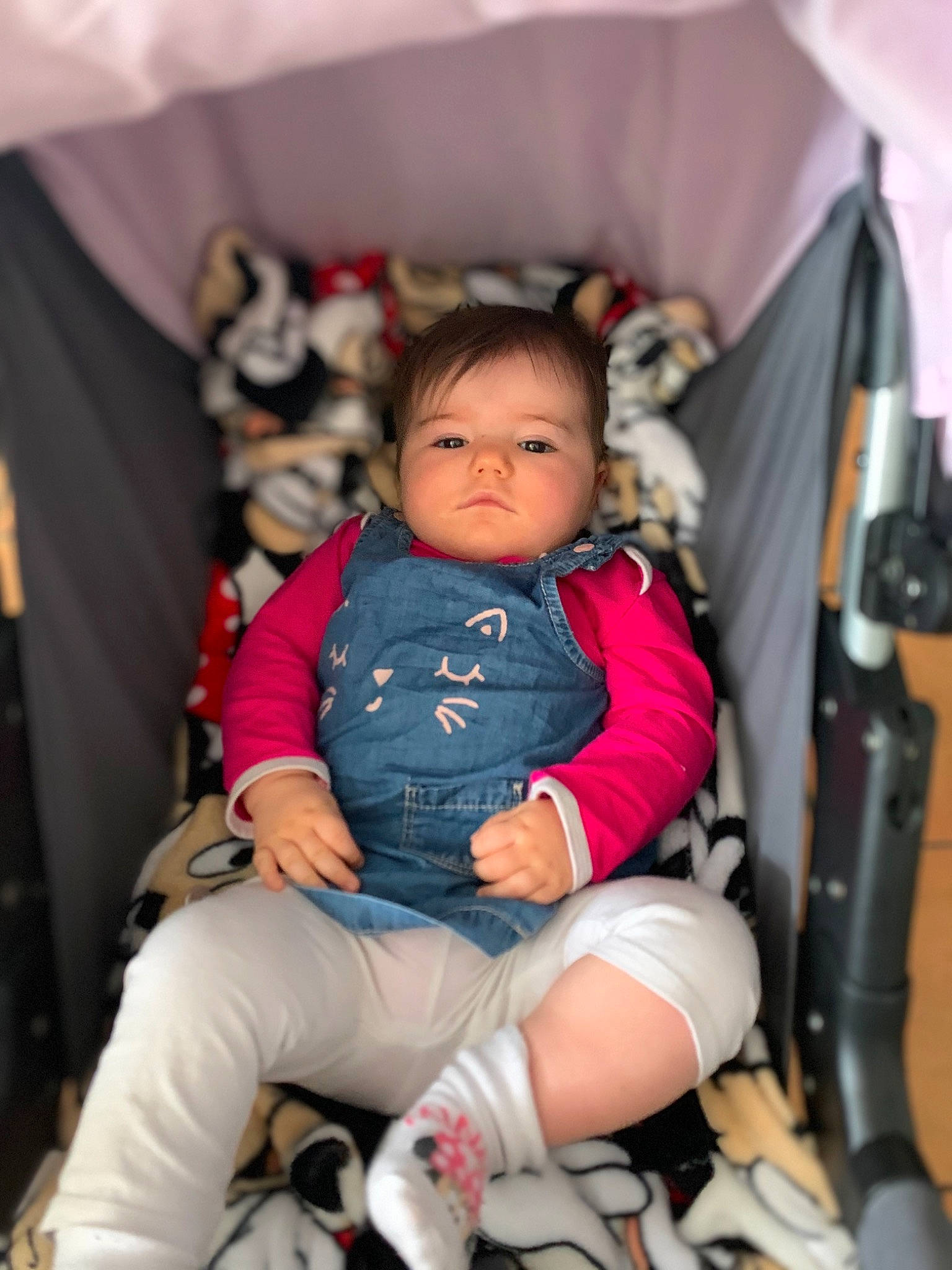 Luciana participe au concours pour gagner de l'argent avec cette photo : arm, baby, baby_carriage, baby_products, chair, child, comfort, event, fashion, fun, happy, lap, leg, leisure, person, pink, recreation, sitting, skin, thigh