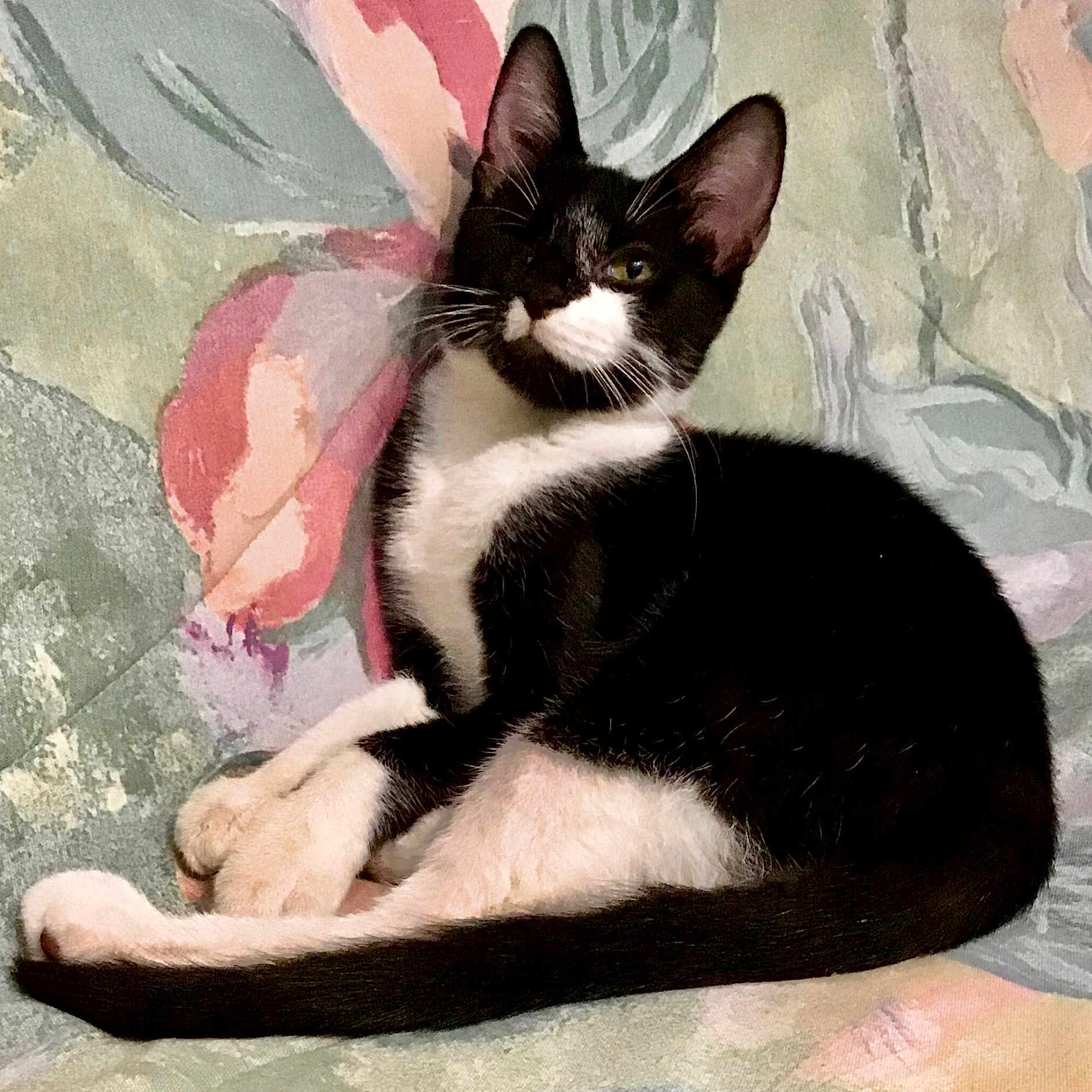One Eyed Lizzie