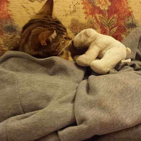 Isabella is registered to the contest to win money with this photo: