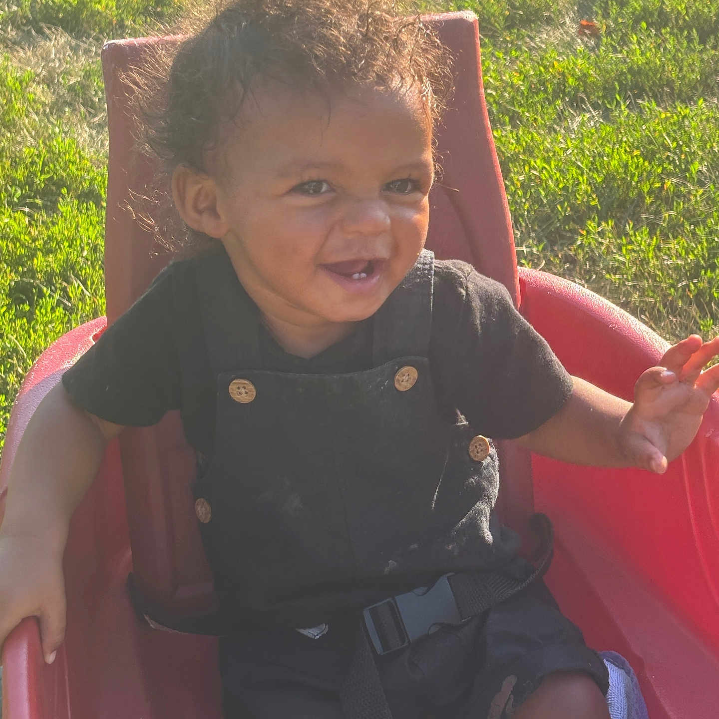 Aviaire joined the competition — help win amazing prizes! toddler, child, smiling, curly_hair, outdoor, sunlight, red_seat, grass, happy, black_clothing, baby, seatbelt, playtime, young_child, portrait, person, daylight, nature, cute, casual