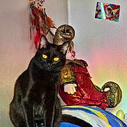 Eudora joined the competition — help win amazing prizes! black_cat, cat, pet, animal, indoor, blanket, yellow_eyes, feathers, wall, doll, jester, decoration, photo, portrait, colorful, furniture, cozy, sitting, feline, domestic_animal