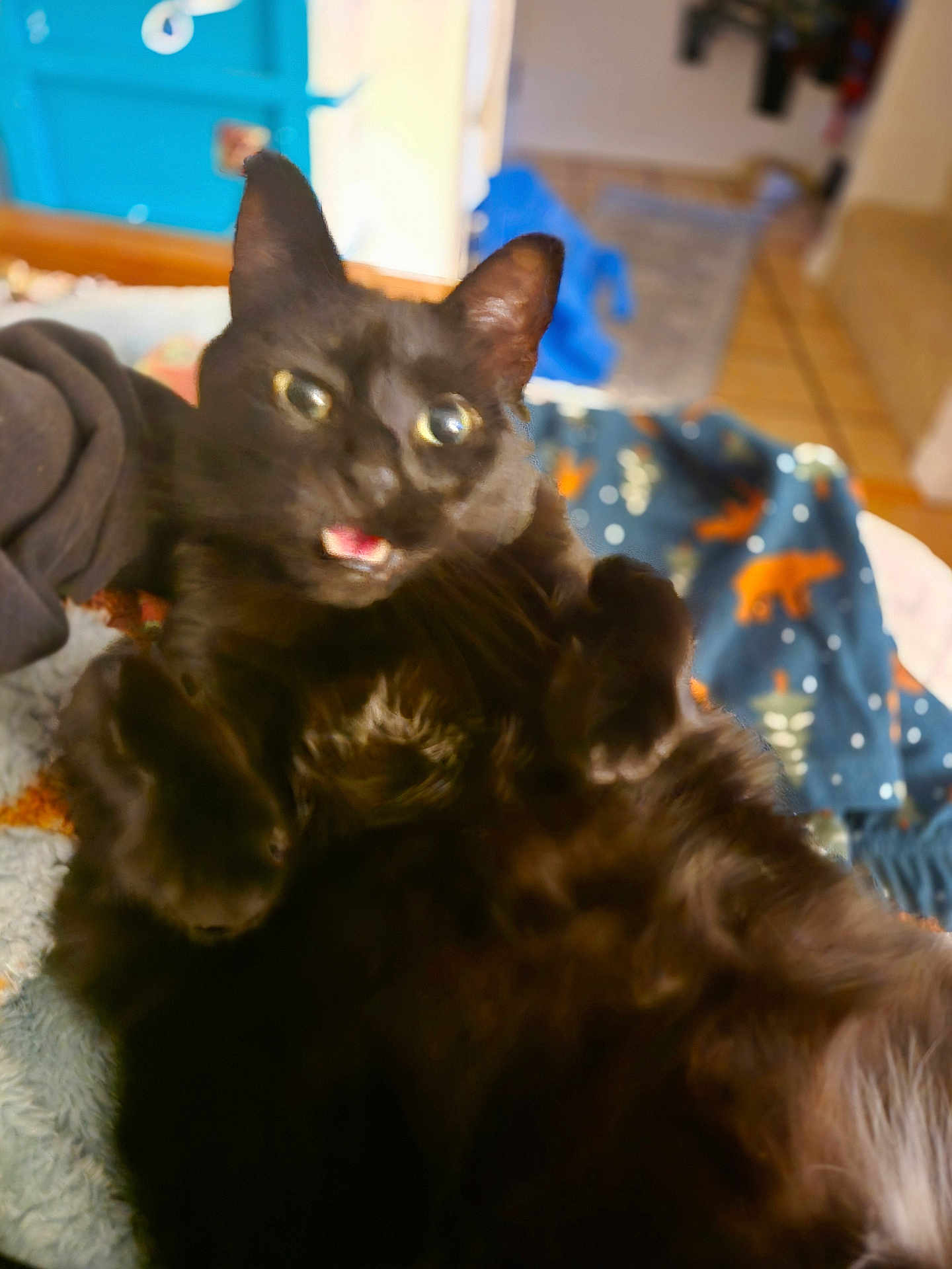 Muta Cheese