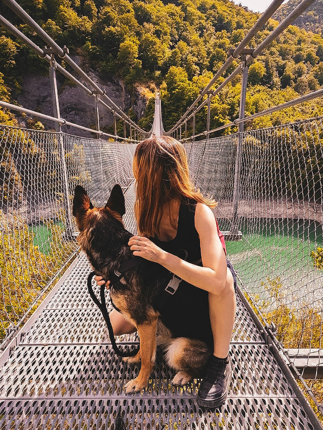 Shyva participe au concours pour gagner de l'argent avec cette photo : bridge, carnivore, companion_dog, dog, dog_breed, fawn, fence, fun, grass, hairstyle, landscape, leg, leisure, long_hair, mammal, people_in_nature, plant, tints_and_shades, tree, yellow