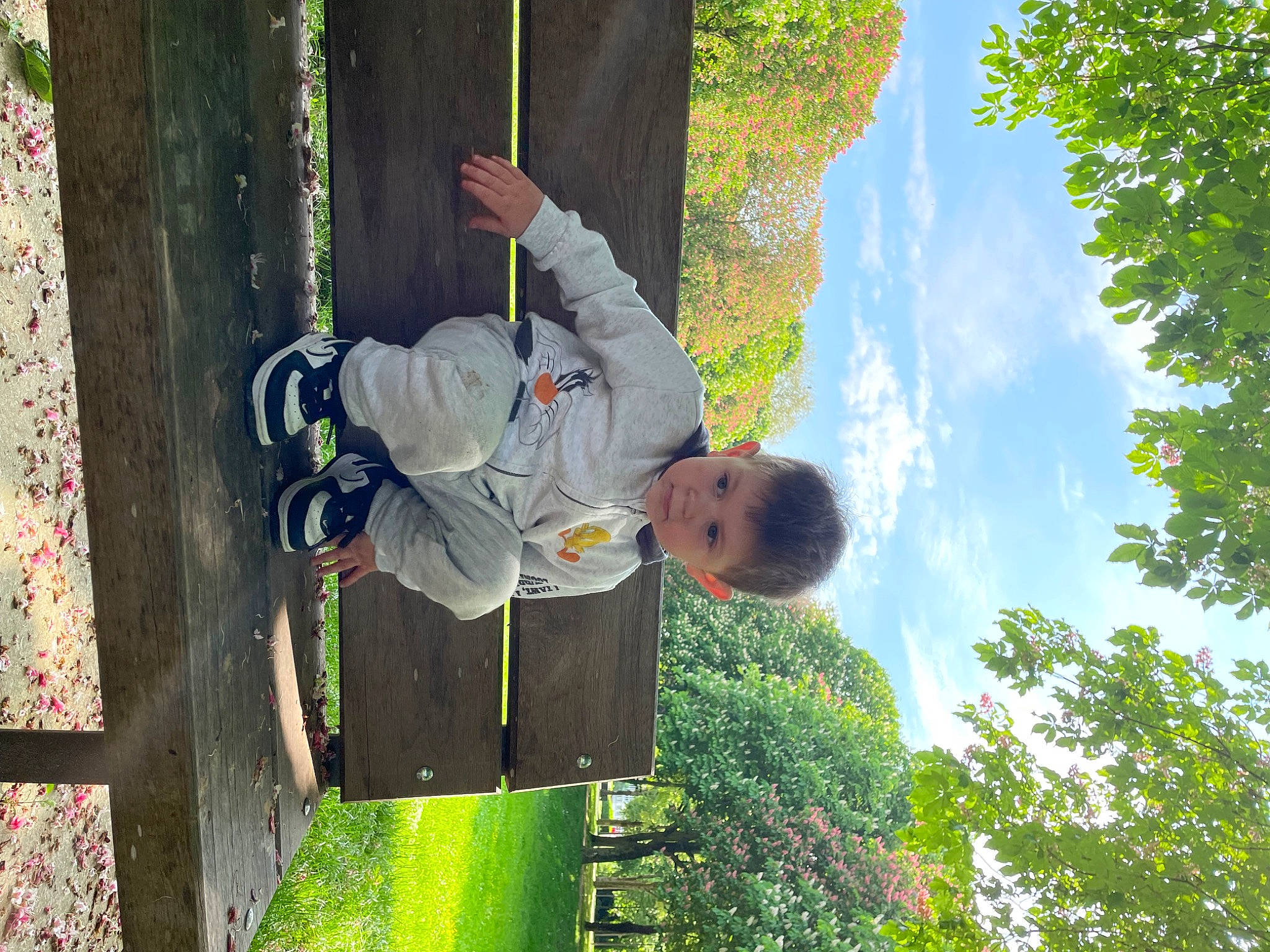 Yanis a rejoint le concours — aidez-le/la à gagner de superbes lots ! adventure, botany, child, cloud, fun, grass, happy, leisure, nature, outdoor_shoe, people_in_nature, person, plant, recreation, rope, sky, sport_climbing, spring, toddler, tree