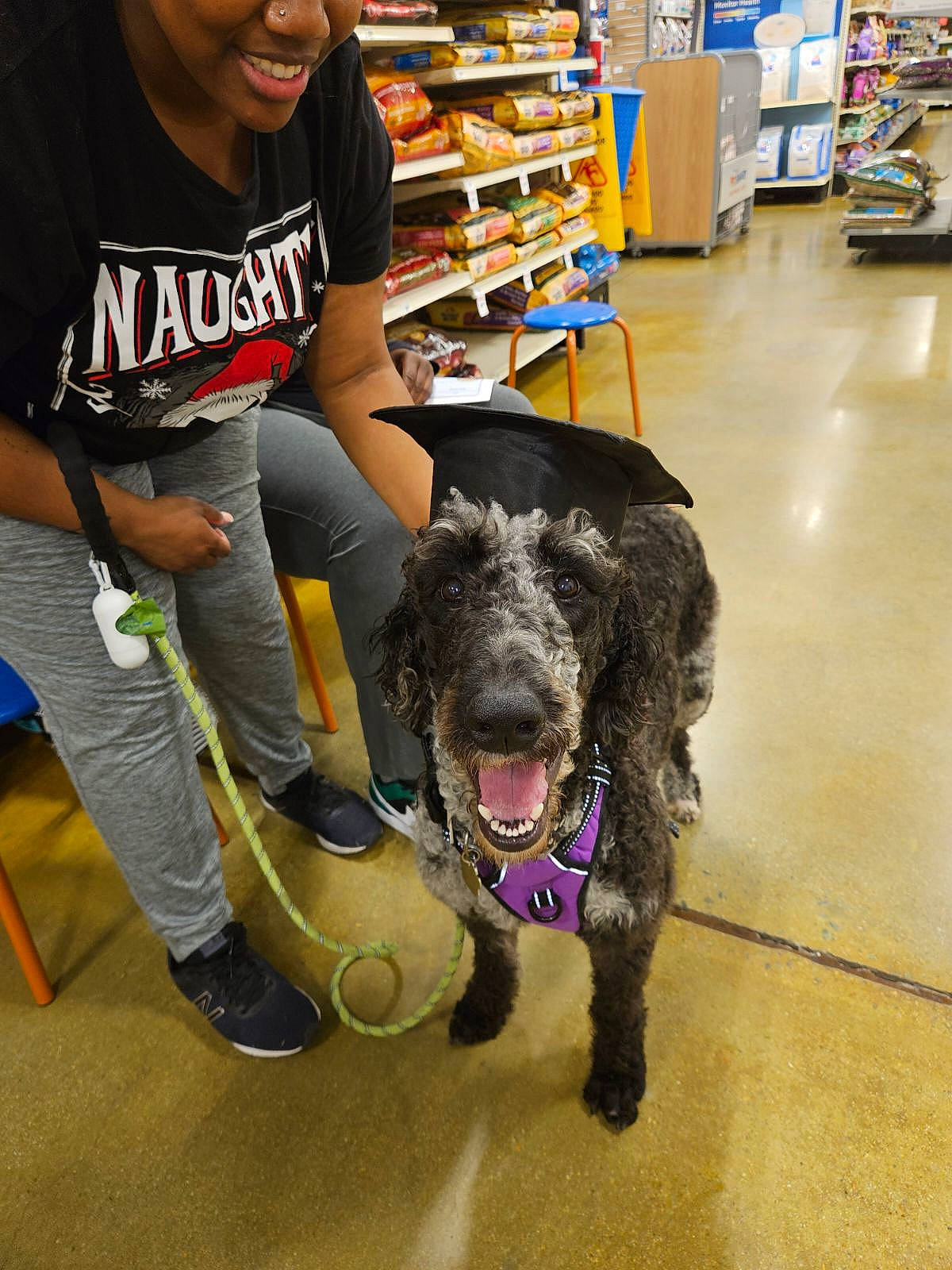 Shego Celeste Drew joined the competition — help win amazing prizes! canidae, carnivore, chair, companion_dog, convenience_store, customer, dog, dog_breed, fashion_accessory, flooring, fur, jeans, leash, retail, shelf, shelving, spaniel, sporting_group, water_dog, working_animal