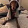 Willow