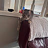 animal, blanket, cat, chair, cozy, curious, ears, furniture, gray_cat, home, indoor, leather, living_room, looking, paws, pet, relaxed, resting, tabby_cat, window_blinds