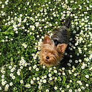 Lola a rejoint le concours — aidez-le/la à gagner de superbes lots !