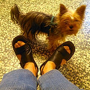 Lola participe au concours pour gagner de l'argent avec cette photo :