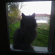 Cassius participe au concours pour gagner de l'argent avec cette photo :