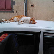 Caramel a rejoint le concours — aidez-le/la à gagner de superbes lots !