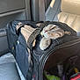 cat, pet_carrier, car_interior, car_seat, seatbelt, window, sunlight, whiskers, paw, zipper, travel, mesh, toy, buckle, leather_seat, curious, feline, portrait, gray_tabby, cozy