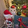 Pattenrond a rejoint le concours — aidez-le/la à gagner de superbes lots ! cat, ginger_cat, christmas_tree, christmas_ornaments, nutcracker, gift_bag, holiday, festive, decorations, indoor, curious, pets, christmas, red, green, lights, floor, wooden_furniture, ribbon, celebration