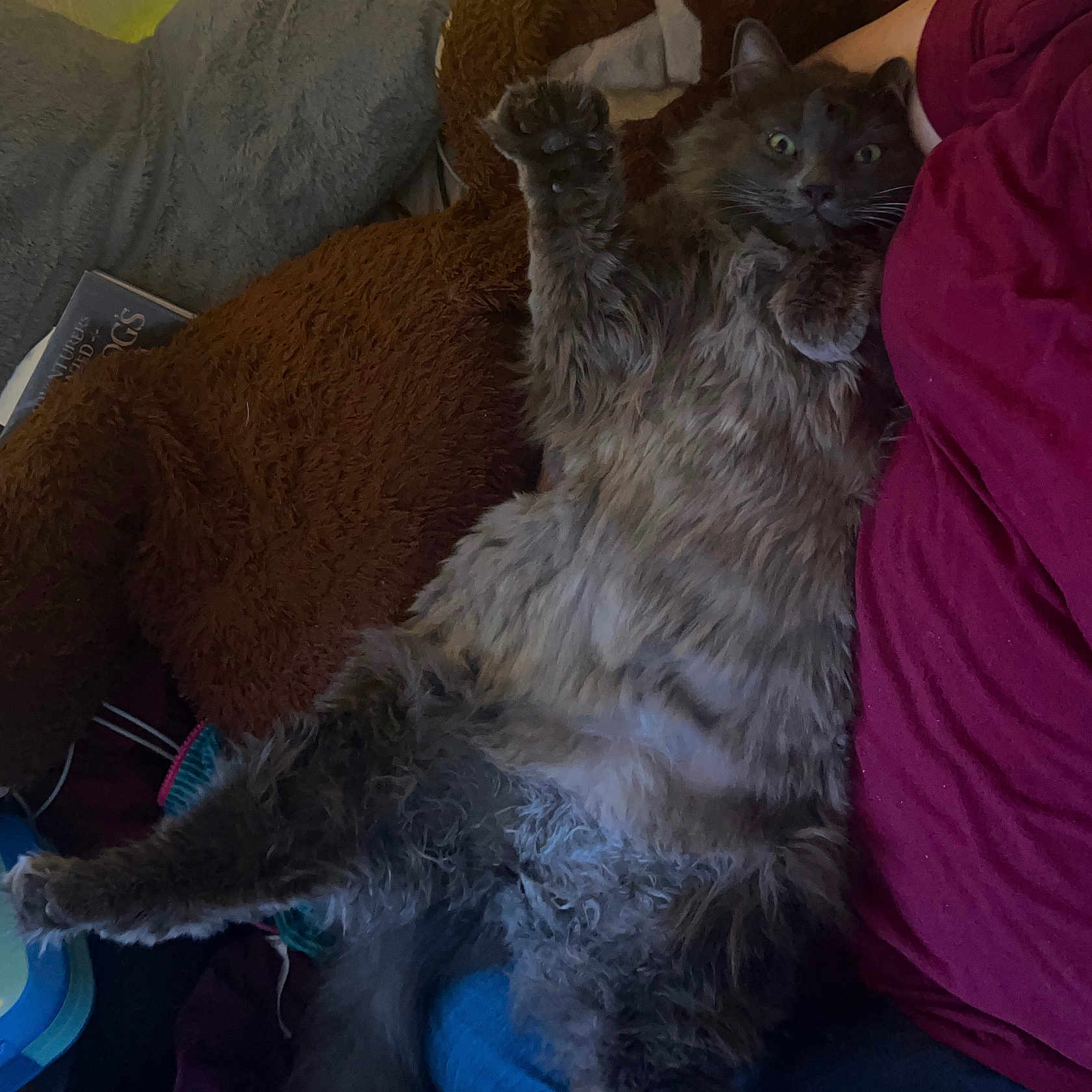 Linx