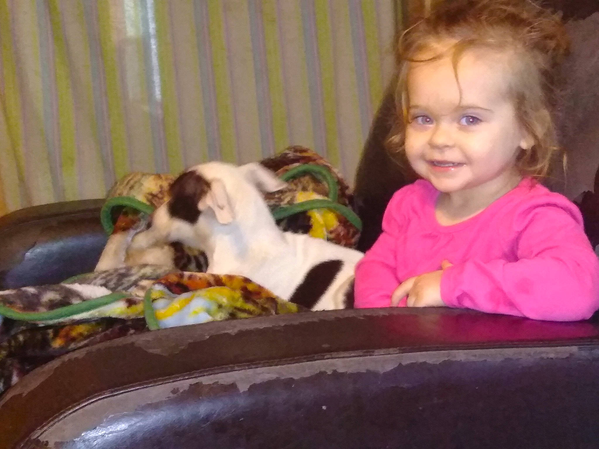 Lala is registered to the contest to win money with this photo: carnivoran, child, dog, dog_breed, dog_breed_group, dog_like_mammal, eating, joy, person, play, puppy, toddler