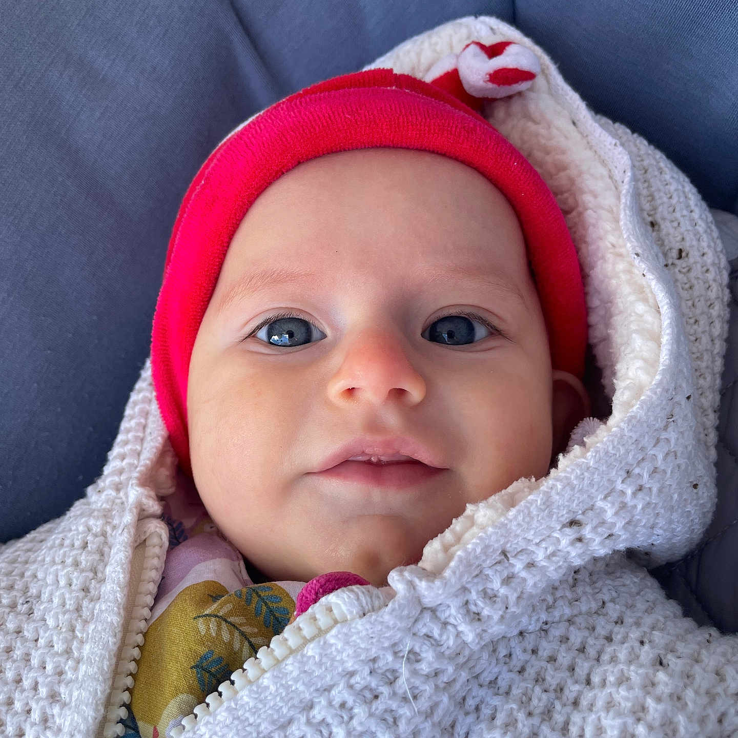 Gaspar participe au concours pour gagner de l'argent avec cette photo : baby, blue_eyes, child, close_up, cozy, cute, expression, face, headwear, infant, knitted_jacket, looking_at_camera, outdoor, portrait, red_hat, smiling, soft_texture, warm_clothing, winter_wear, young
