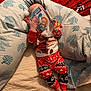 Gaspar a rejoint le concours — aidez-le/la à gagner de superbes lots ! baby, blanket, child, christmas, cozy, cushion, cute, fabric, feet, festive, hand, holiday, indoors, motion_blur, pajamas, person, red_clothing, teething_toy, toys, unwrapping