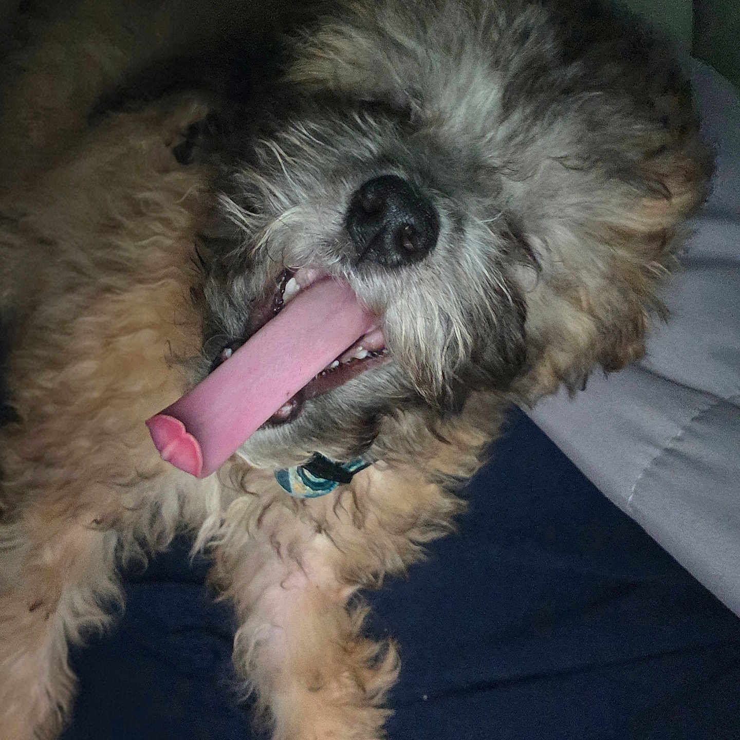 Mookie