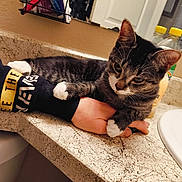 Kit-Kat is registered to the contest to win money with this photo: cat, tabby_cat, white_paws, person, arm, bathroom, sink, countertop, mirror, toiletries, bottle, hand, resting, pet, indoor, fur, paw, comfort, closeup, domestic_animal