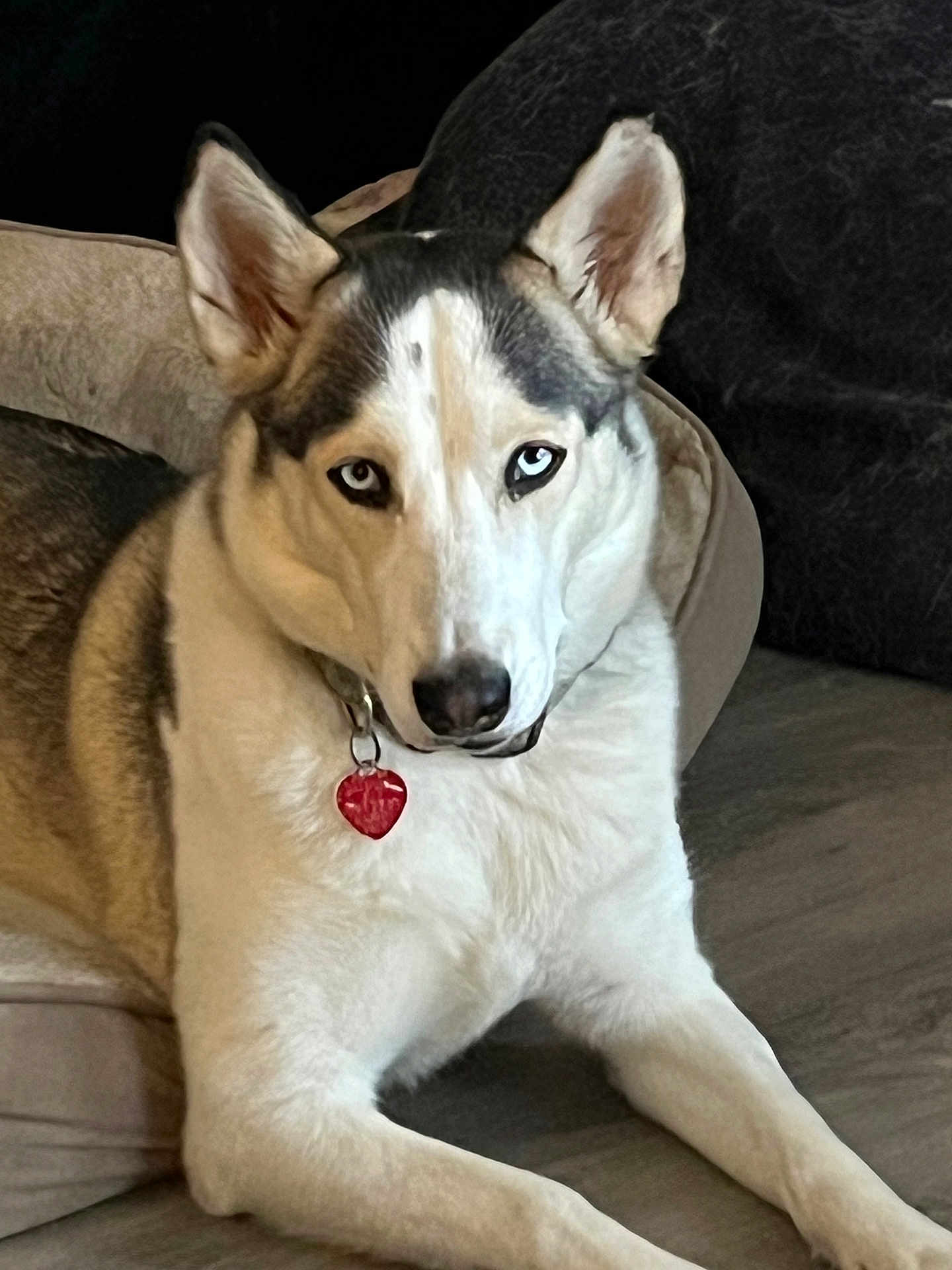 Luna