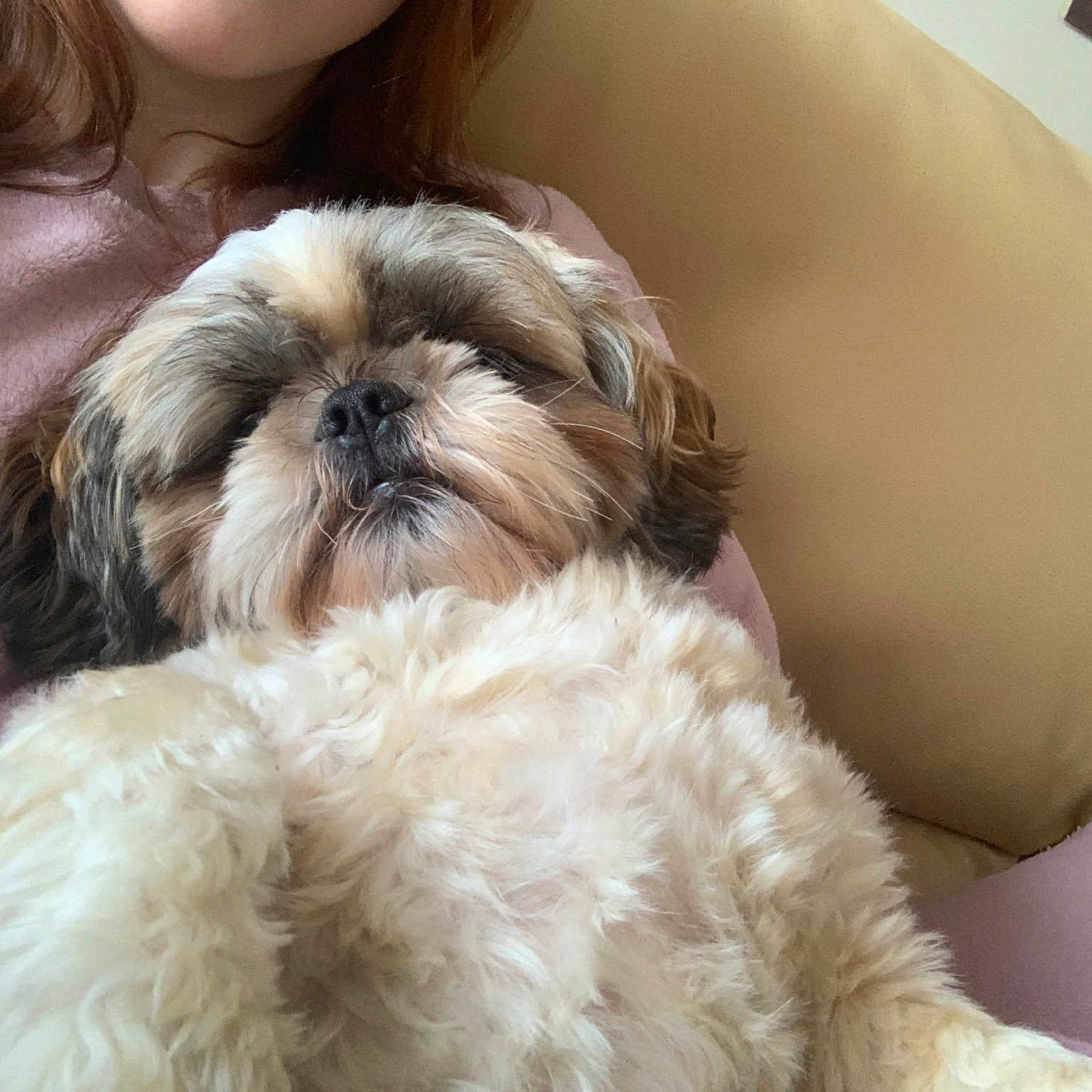 Balou