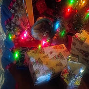 Yuna joined the competition — help win amazing prizes! animal, cat, celebration, christmas_lights, christmas_tree, colorful, cone, cone_collar, cozy, decorations, festive, gift_wrap, holiday, indoor, ornaments, pet, presents, tree_lights, wood_floor, wrapped_gifts