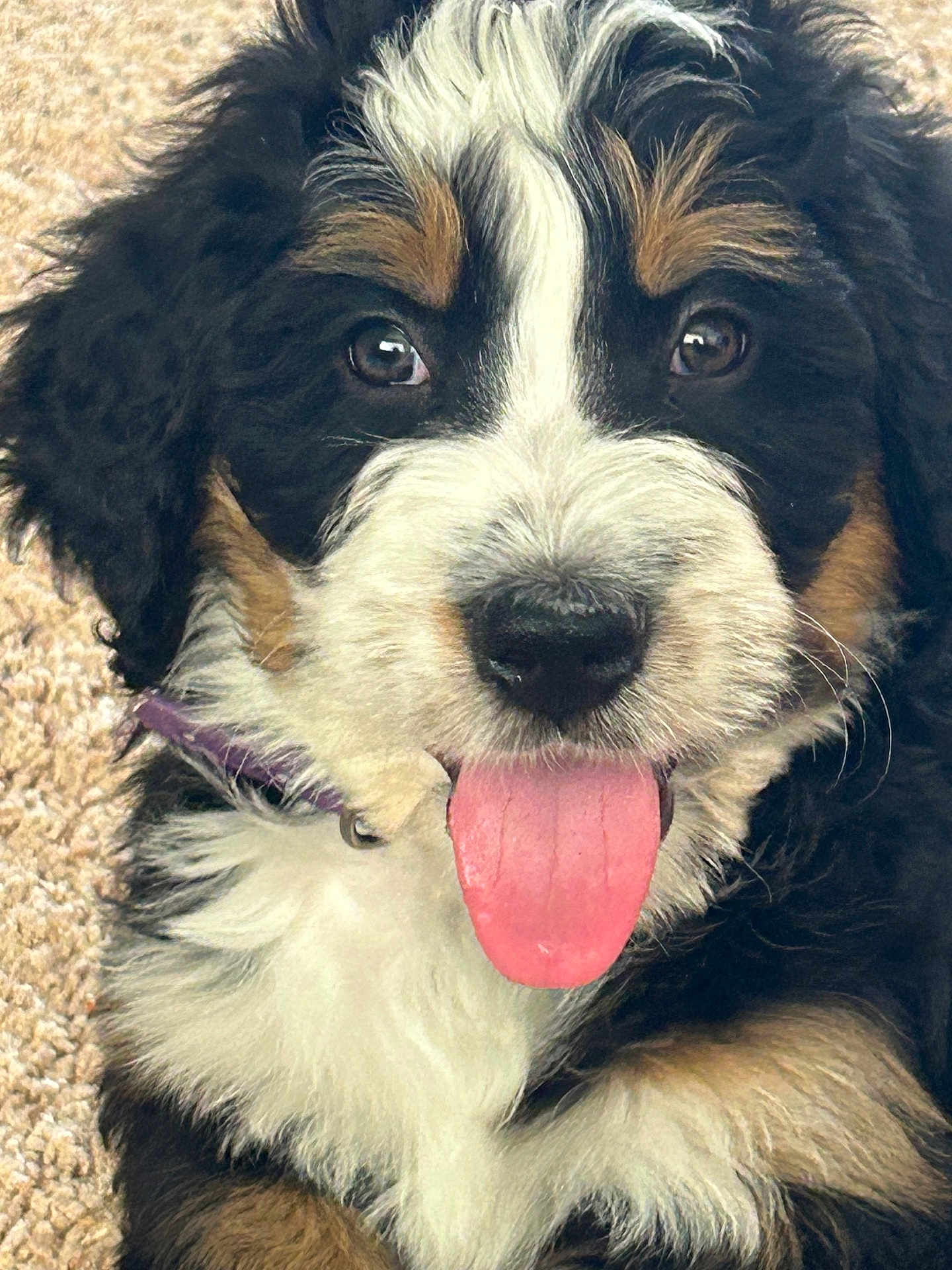 Tilly