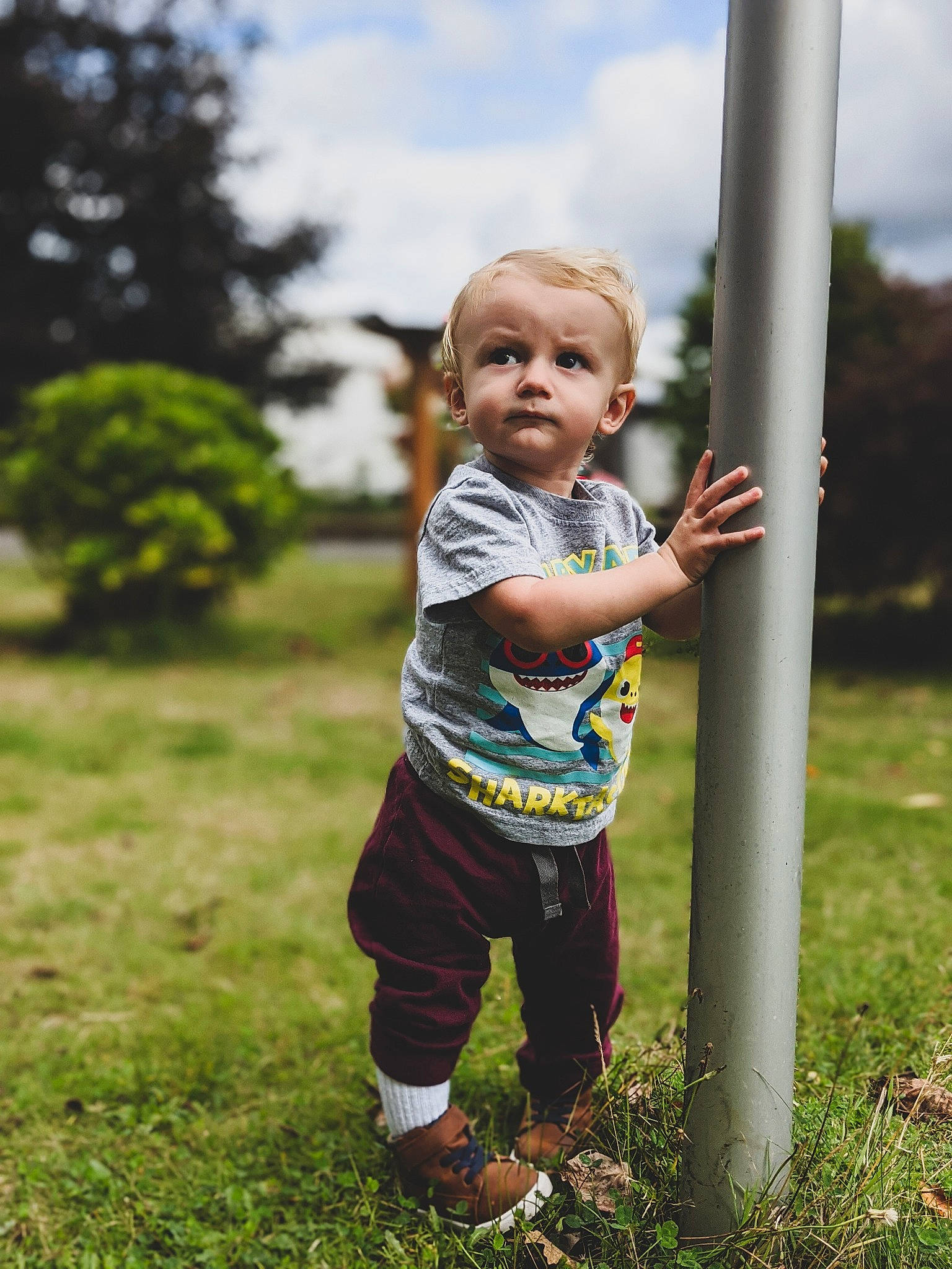 Charlie is registered to the contest to win money with this photo: child, fun, grass, green, happy, meadow, people, people_in_nature, person, photography, plant, play, smile, standing, summer, toddler, tree, vacation