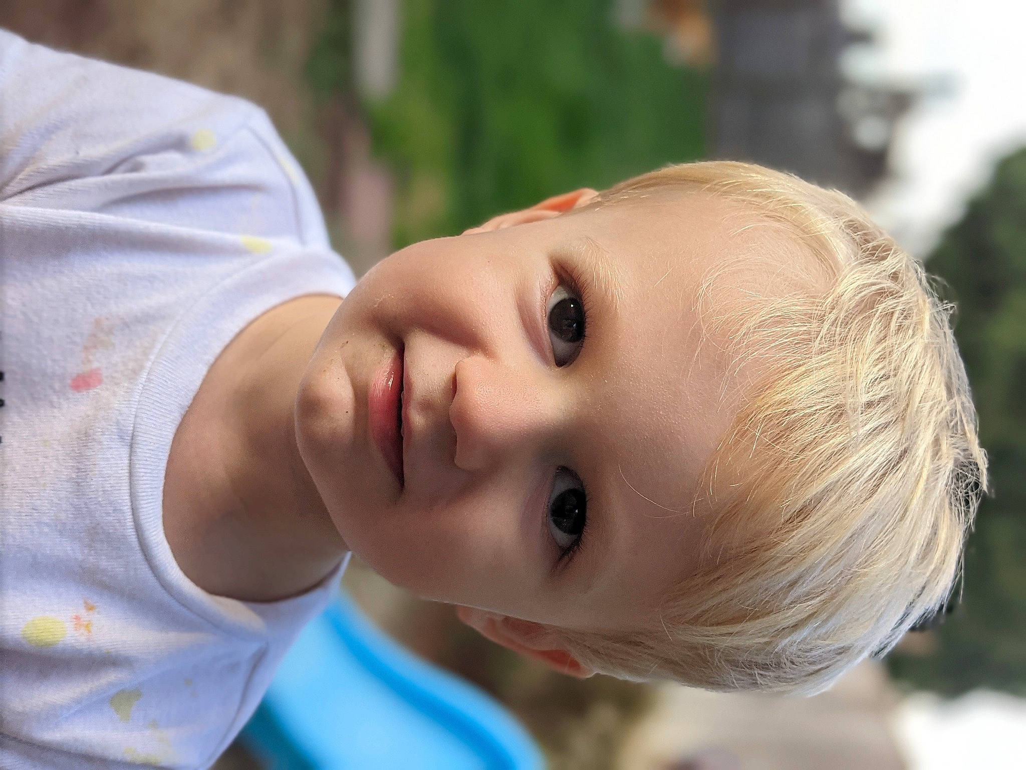 Charlie is registered to the contest to win money with this photo: baby, baby_toddler_clothing, cheek, child, eyelash, fun, grass, happy, human_body, iris, leaf, leisure, lip, nose, person, plant, portrait_photography, smile, toddler, tree