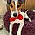 Sookie