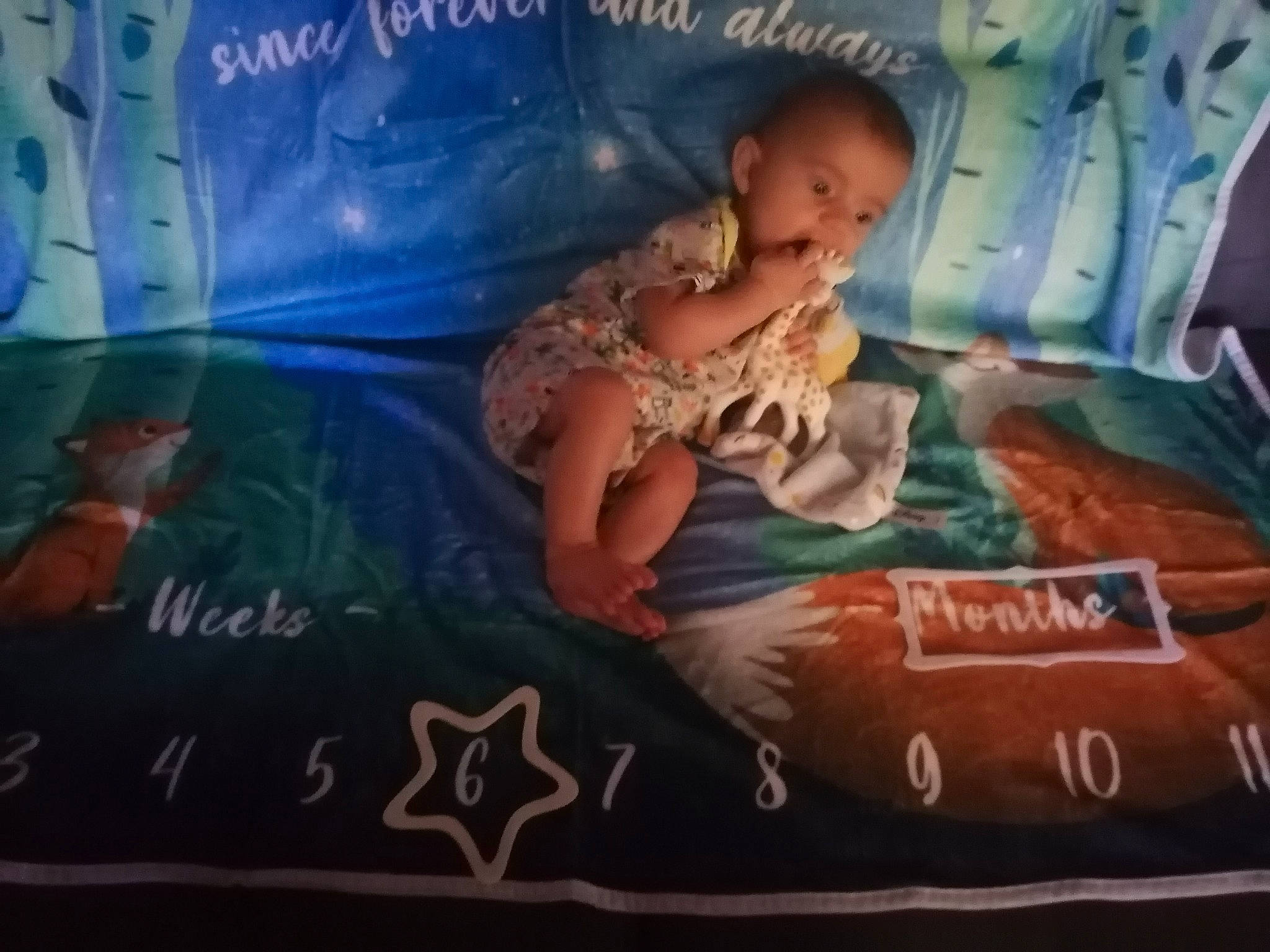 Nino participe au concours pour gagner de l'argent avec cette photo : advertising, baby, child, flesh, font, fun, happy, linens, pattern, person, photo_caption, recreation, room, toddler, visual_arts