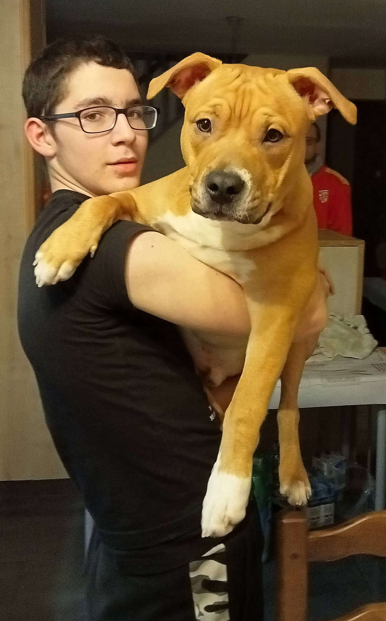 Tyron participe au concours pour gagner de l'argent avec cette photo : abdomen, canidae, carnivore, collar, companion_dog, dog, dog_breed, dog_collar, event, eyewear, fawn, fur, gesture, glasses, happy, selfie, snout, sporting_group, vision_care, working_animal