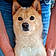 Daimyo