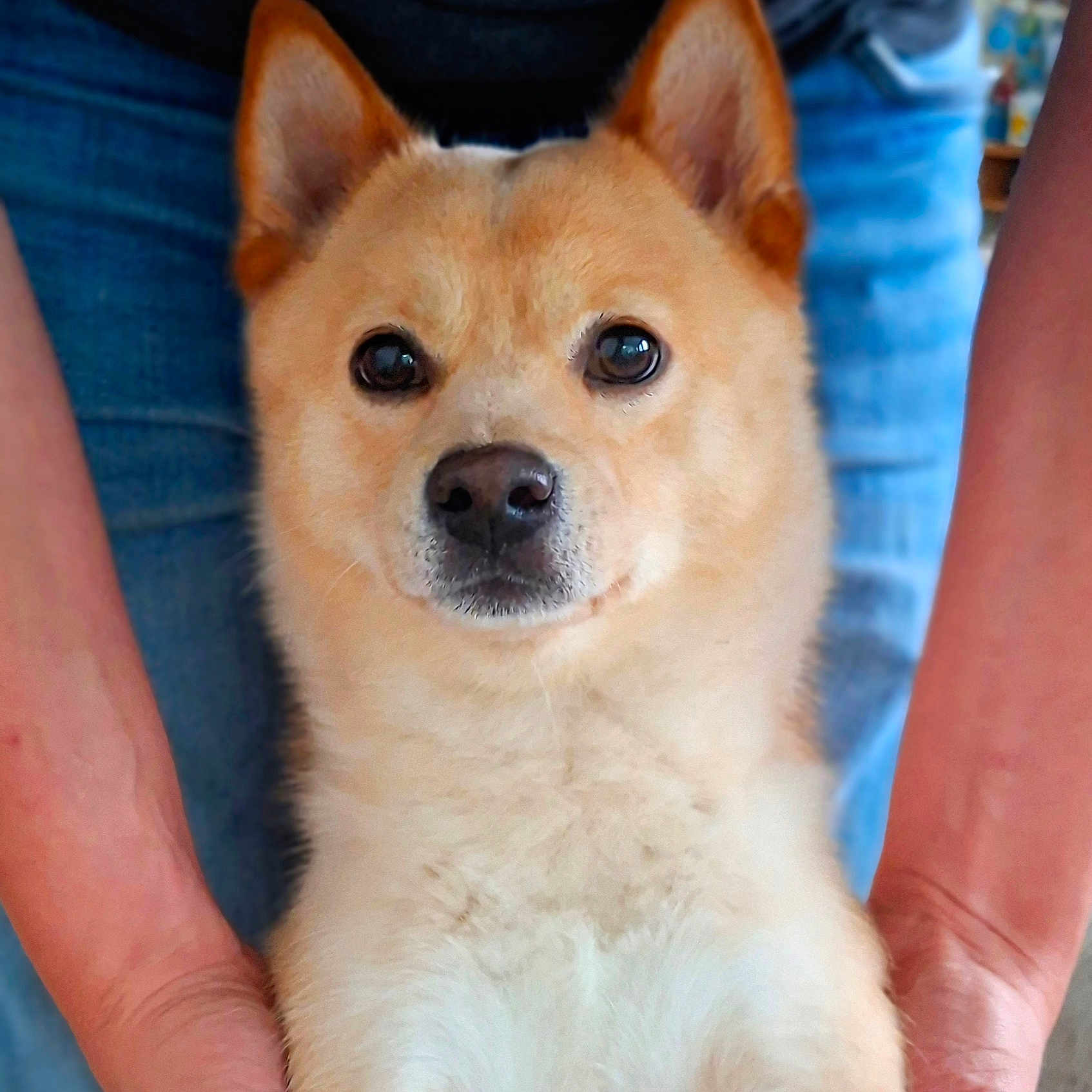 Daimyo