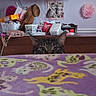 Daveyy is registered to the contest to win money with this photo: cat, tabby_cat, pet, animal, face, eyes, ears, peeking, bed, blanket, cat_pattern, bedroom, dresser, furniture, television, poster, kitten_poster, indoors, cozy, portrait