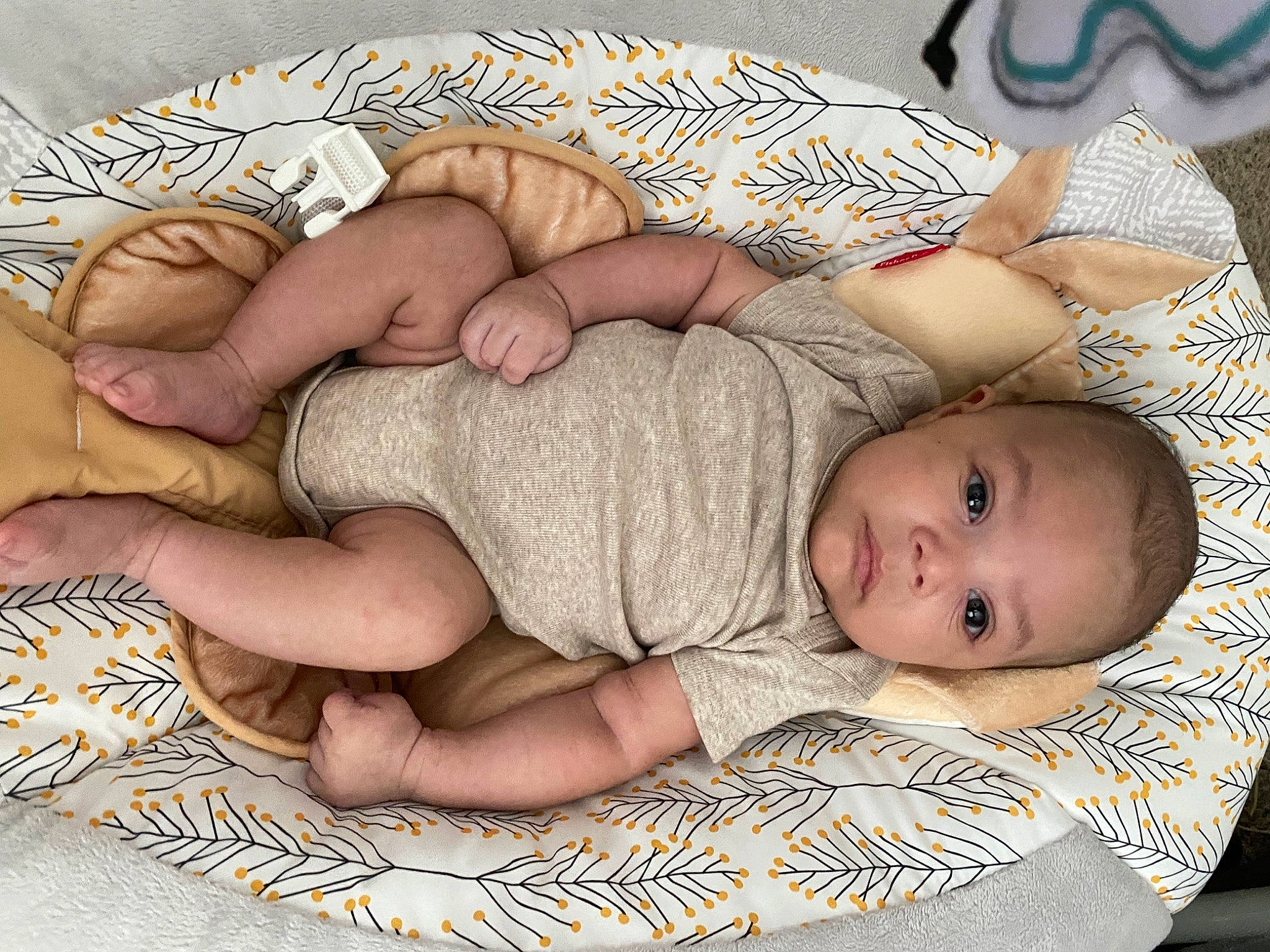 Derrick is registered to the contest to win money with this photo: arm, baby, baby_sleeping, baby_toddler_clothing, cheek, comfort, eye, face, facial_expression, finger, hand, head, human, human_body, linens, mouth, muscle, organ, person, skin