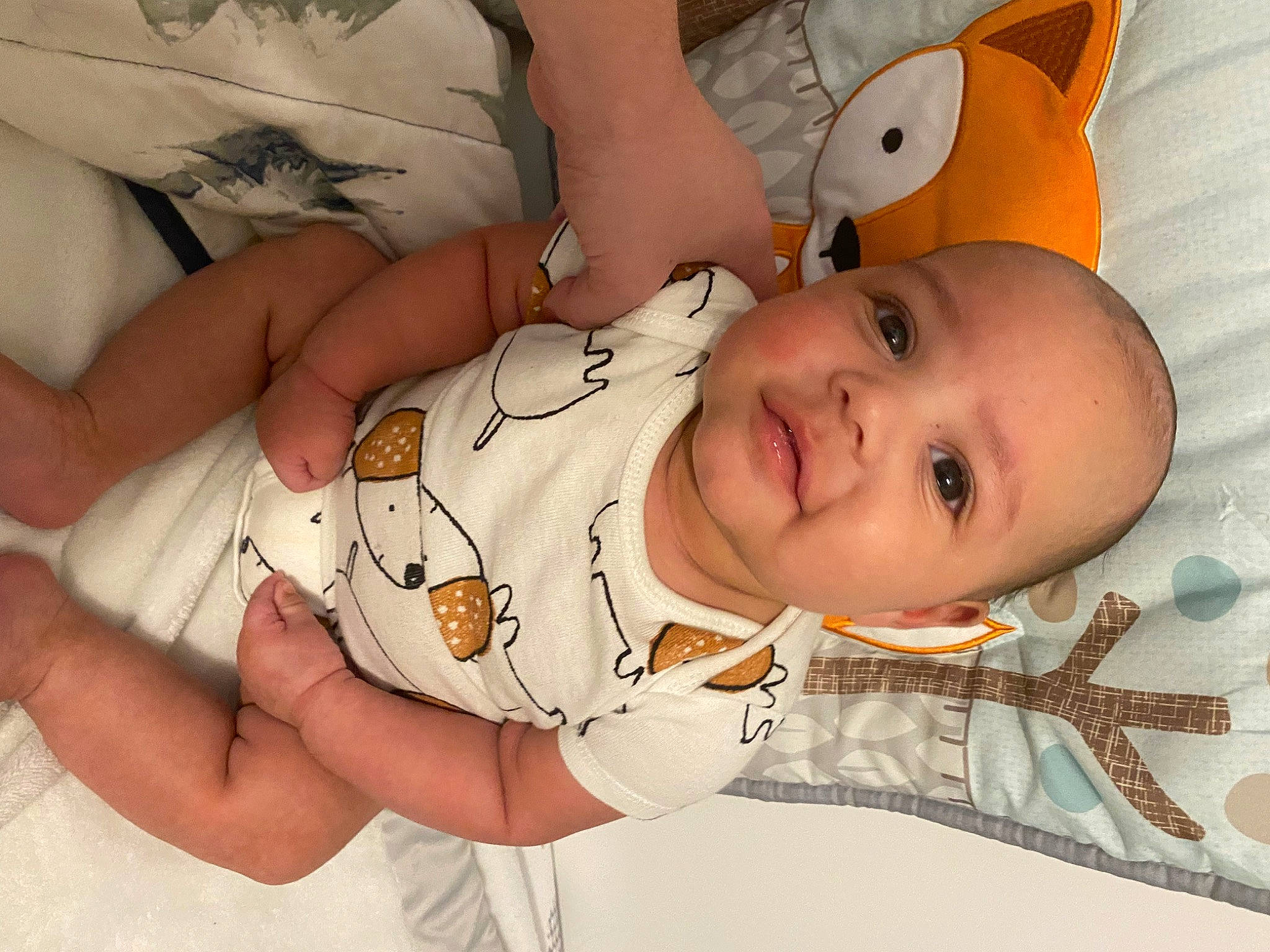 Derrick is registered to the contest to win money with this photo: baby, baby_toddler_clothing, cheek, comfort, eye, eyebrow, face, finger, gesture, happy, head, headgear, human_body, mammal, mouth, nose, person, skin, sleeve, smile