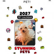 Akasha is registered to the contest to win money with this photo: 2027, advertisement, ball, calendar, colorful, cute_dog, dog, dog_bone, dog_house, fluffy_dog, illustration, online_shopping, paw_print, pet, pet_calendar, pet_food, promotion, text, website, white_dog