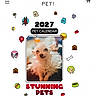 dog, fluffy_dog, white_dog, pet_calendar, 2027, pet, cute_dog, advertisement, online_shopping, calendar, dog_bone, dog_house, ball, paw_print, pet_food, colorful, illustration, website, text, promotion