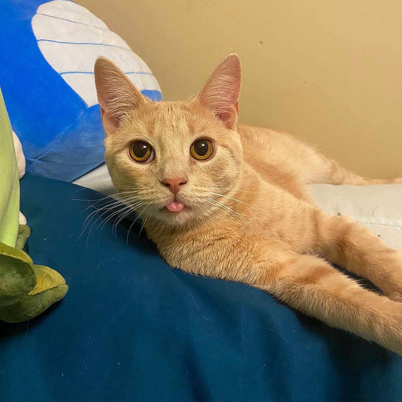 Loki