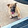 Dozer