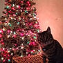 christmas_tree, cat, tabby_cat, indoor, christmas_lights, wicker_table, decor, holiday, festive, pet, feline, animal, home, wall_art, cross, ornament, lighting, night, curious, sitting