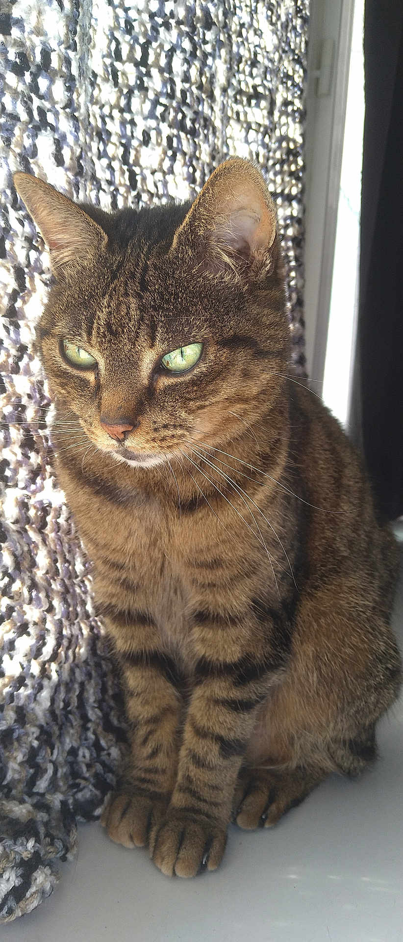 Lili