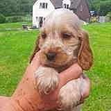 Pebbles is registered to the contest to win money with this photo: