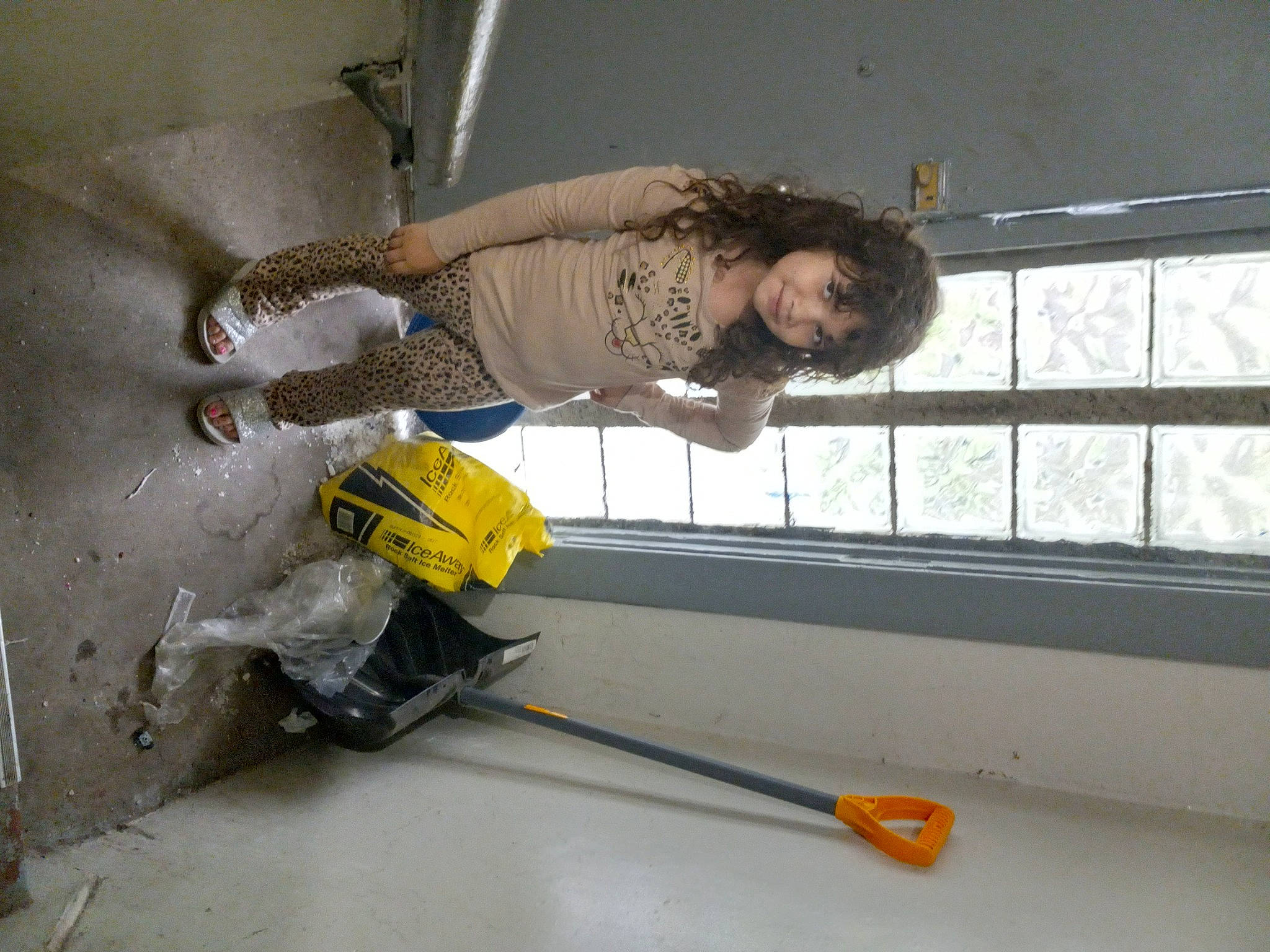 Bailey joined the competition — help win amazing prizes! blue_collar_worker, ceiling, cement, cleanliness, composite_material, concrete, electrical_wiring, engineering, flooring, gas, glass, machine, person, plaster, room, safety_glove, tradesman, window, wire, wood