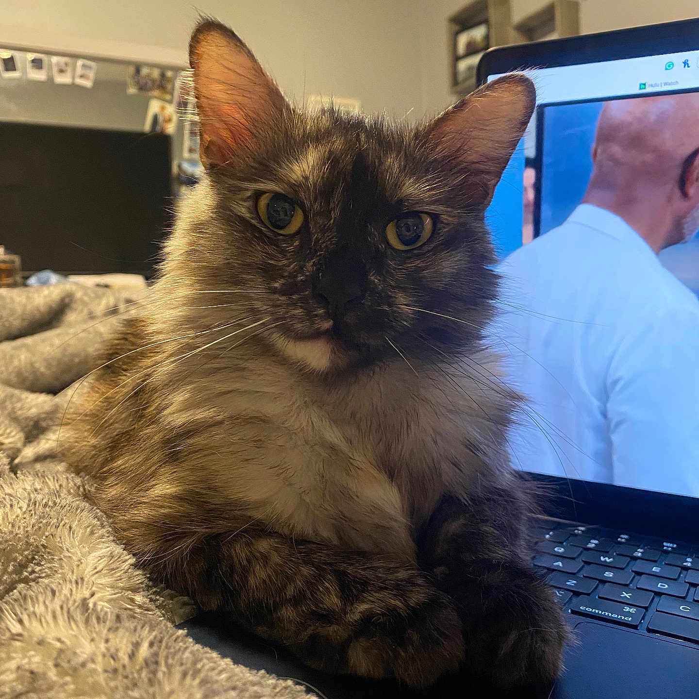 Luna