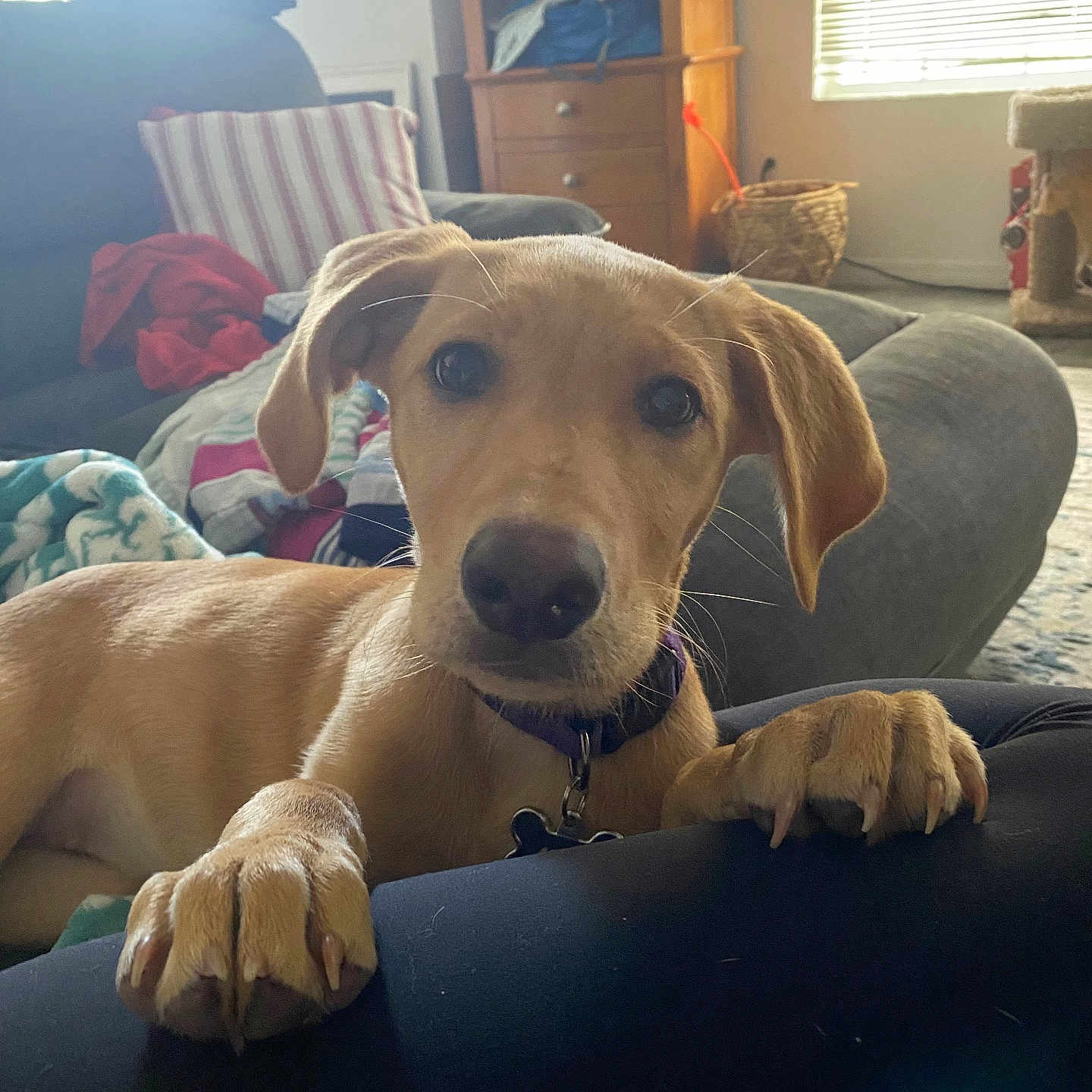 Molly