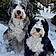 Winston And Willa