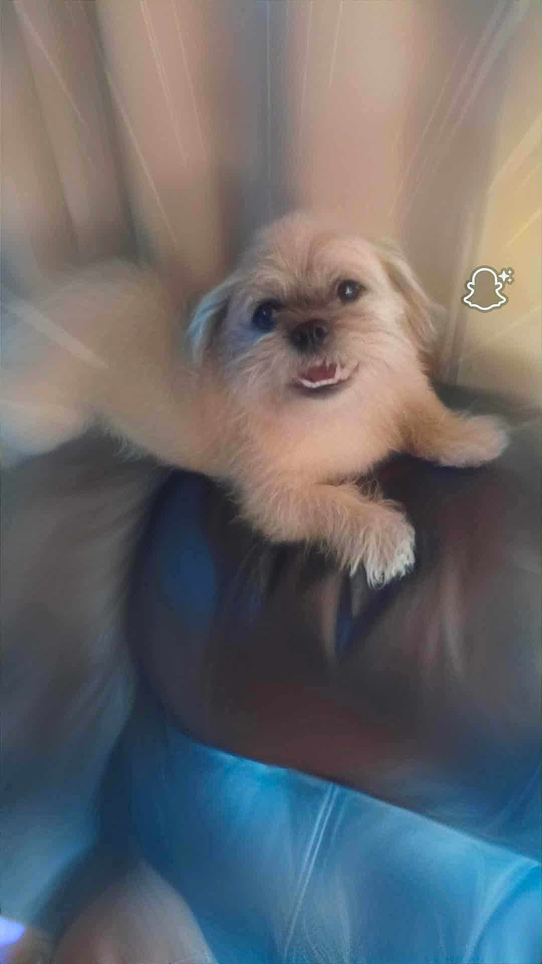 Ralphie