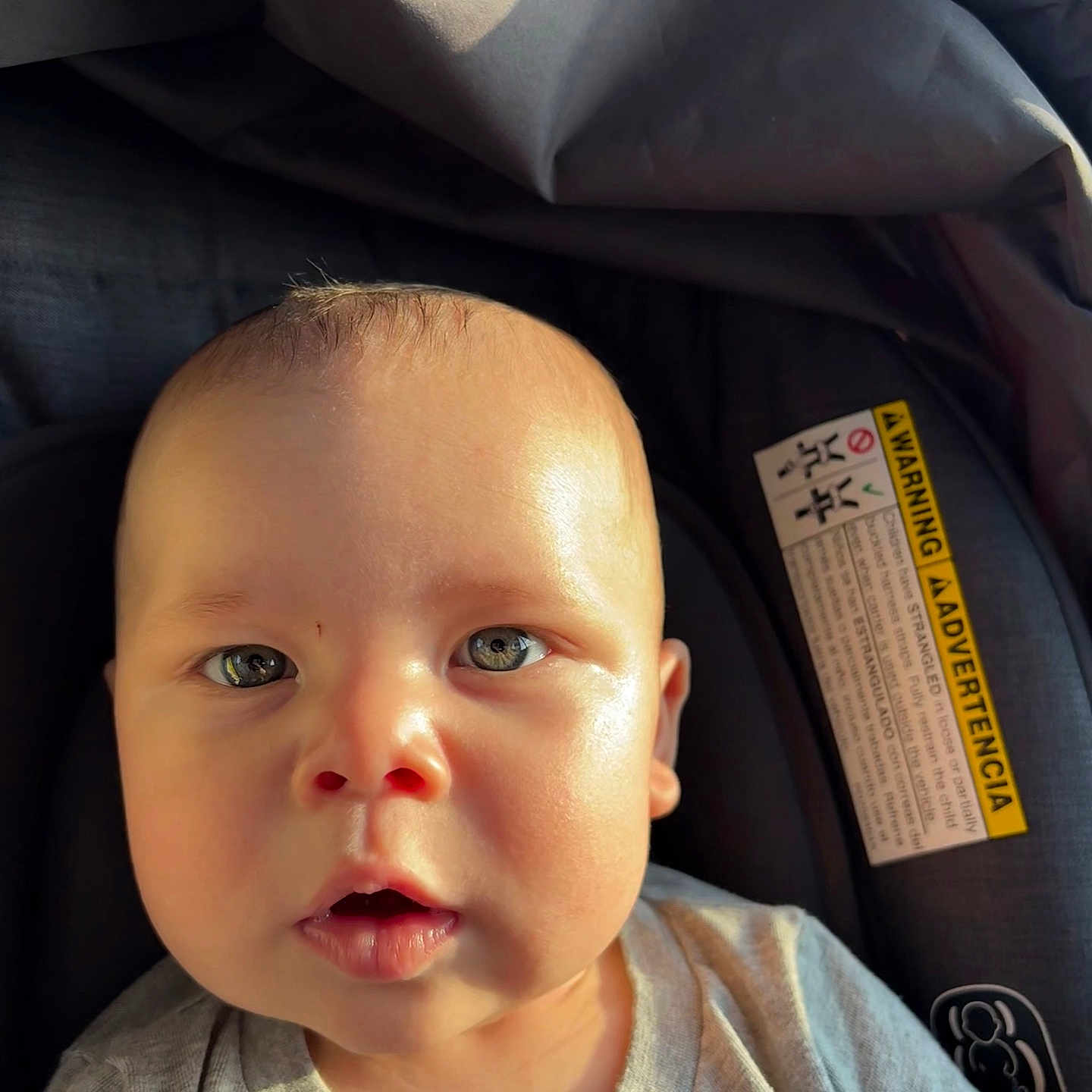 Yadier Saez is registered to the contest to win money with this photo: baby, car_seat, child, chubby_cheeks, closeup, clothing, cute, expression, eyes, face, grey_shirt, head, indoors, infant, portrait, seatbelt, skin, soft_light, warning_label, young